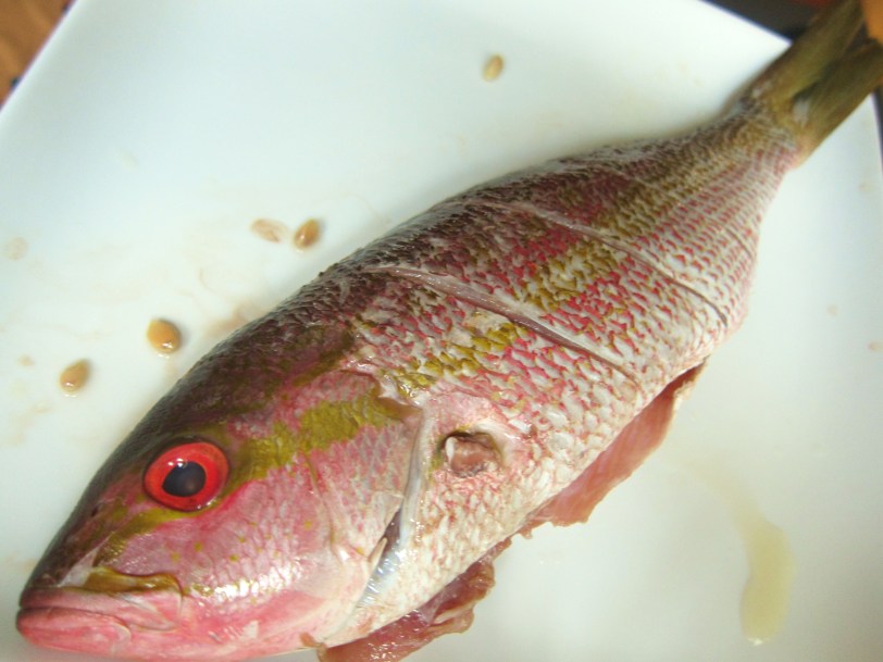 whole snapper