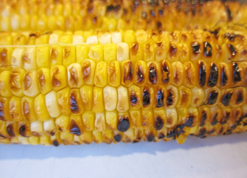 minnesota corn